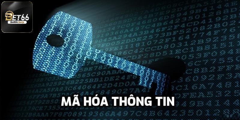 Chính sách bảo mật Bet66 ứng dụng mã hóa thông tin