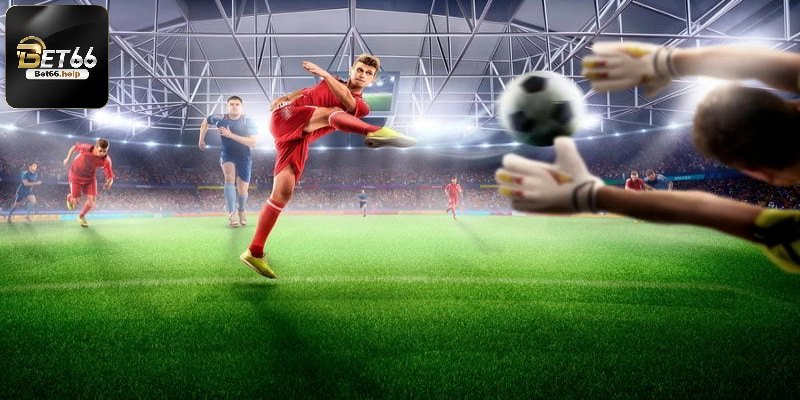 Hội viên được trải nghiệm đa dạng bộ môn thể thao ảo