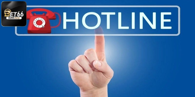 Liên hệ Bet66 trực tiếp qua hotline