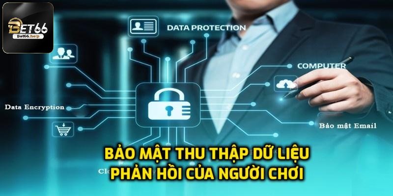 Những dữ liệu sân chơi thu thập