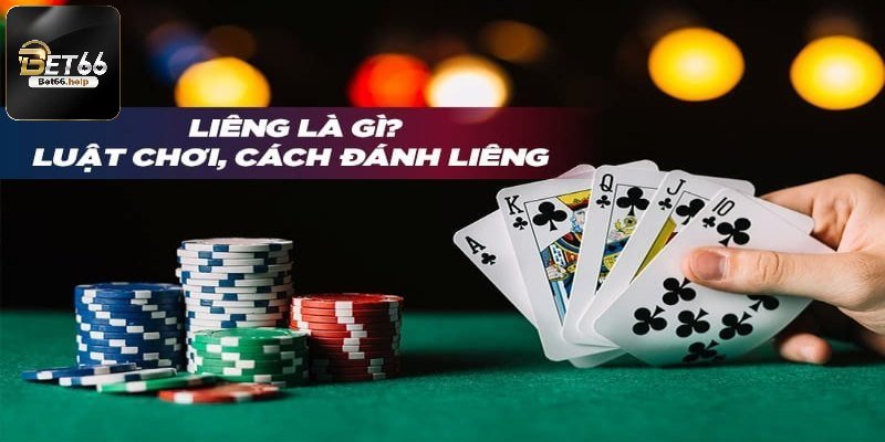Thông tin chung cần biết về bài liêng