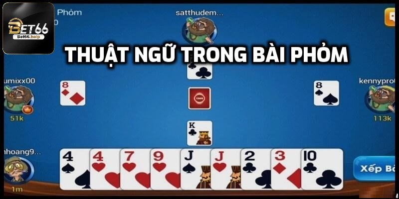 Thuật ngữ chuyên dùng trong Phỏm