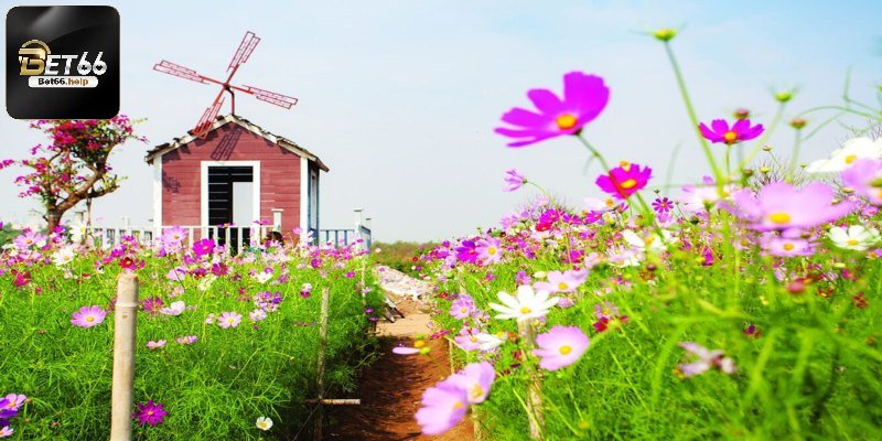 Trường hợp ở vườn hoa đanhs số 57 hoặc 17